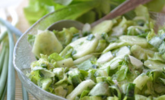 Рецепт зеленого салата с огурцами и редисом