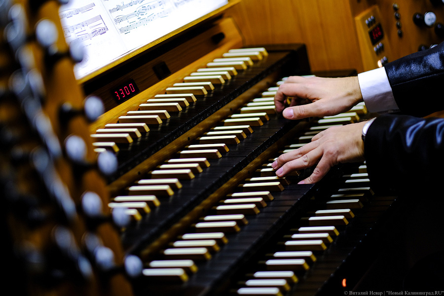 Кафедральный собор увеличивает стоимость билетов на органные мини-концерты